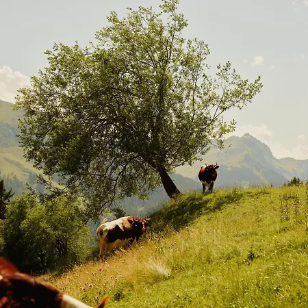 Wiesergut